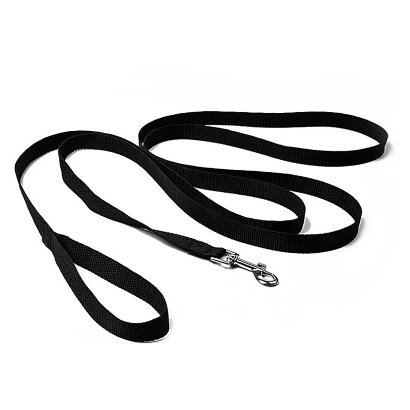 No-Pull Dog Collar for Stress-Free Walks