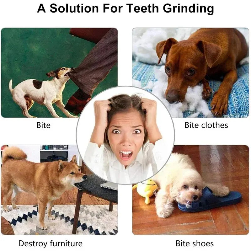 Interactive Treat Ball for Dogs – Fun, Chew-Resistant & Teeth Cleaning Toy