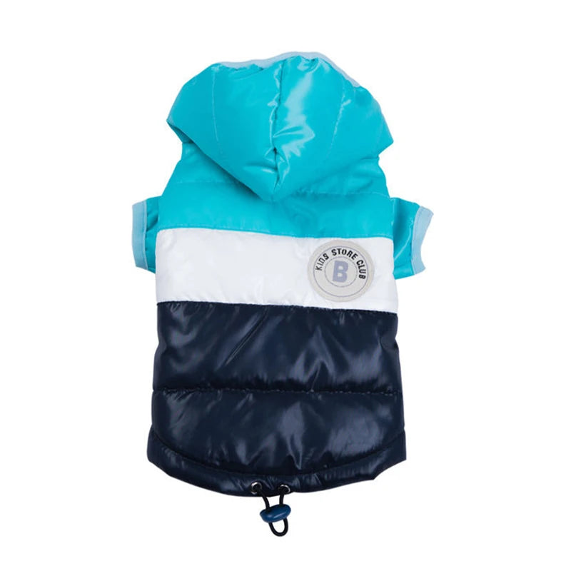 Waterproof dog coat: Keep your dog dry and comfortable in any weather.