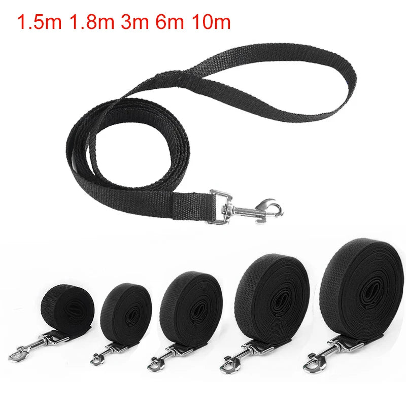 No-Pull Dog Collar for Stress-Free Walks