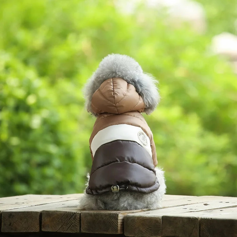 Waterproof dog coat: Keep your dog dry and comfortable in any weather.