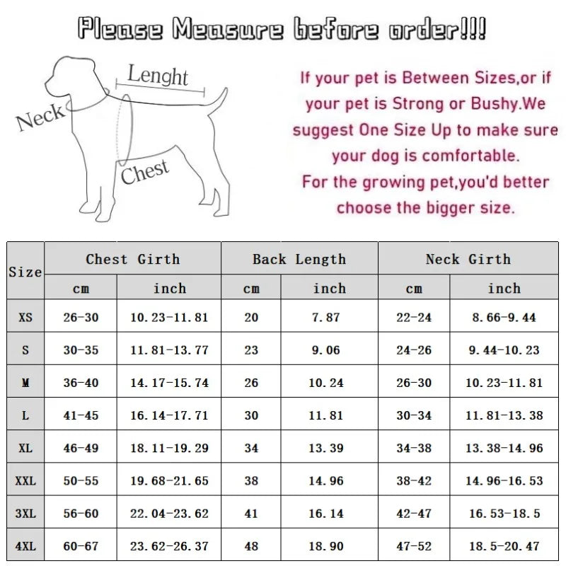 Waterproof dog coat: Keep your dog dry and comfortable in any weather.