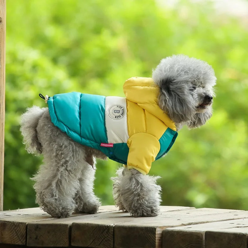 Waterproof dog coat: Keep your dog dry and comfortable in any weather.