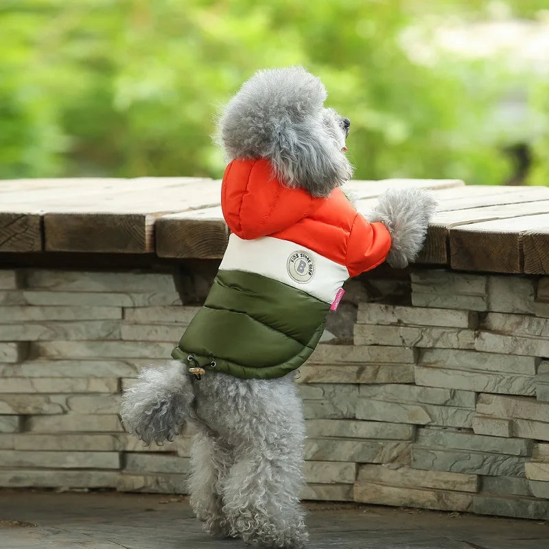 Waterproof dog coat: Keep your dog dry and comfortable in any weather.