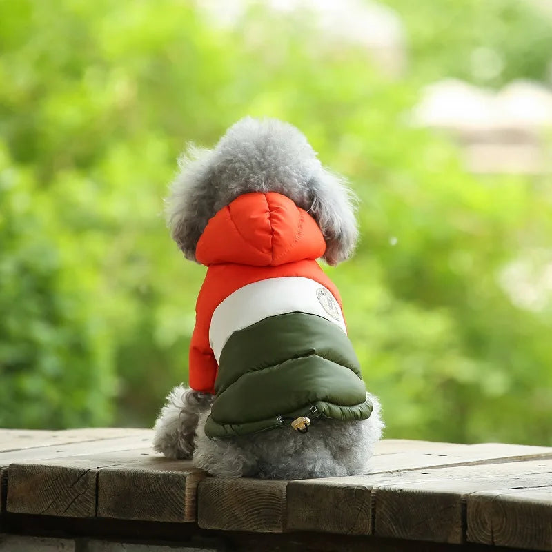 Waterproof dog coat: Keep your dog dry and comfortable in any weather.