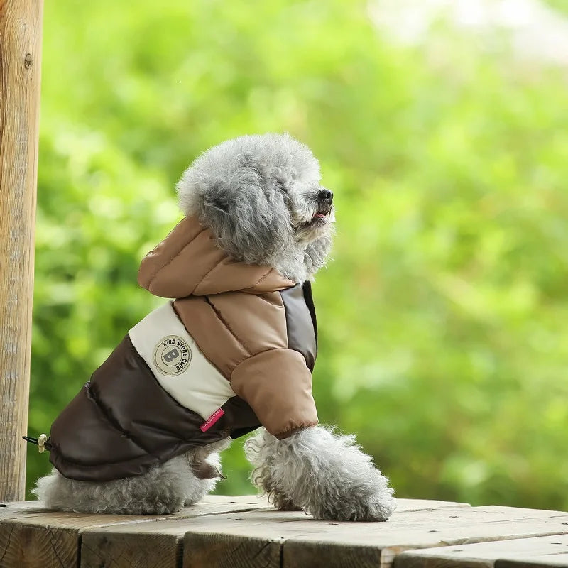 Waterproof dog coat: Keep your dog dry and comfortable in any weather.