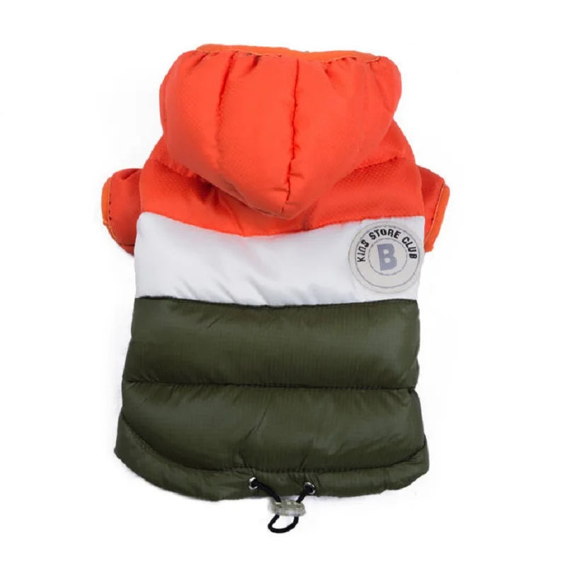 Waterproof dog coat: Keep your dog dry and comfortable in any weather.