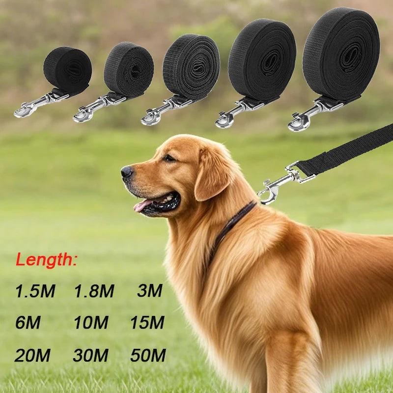 No-Pull Dog Collar for Stress-Free Walks