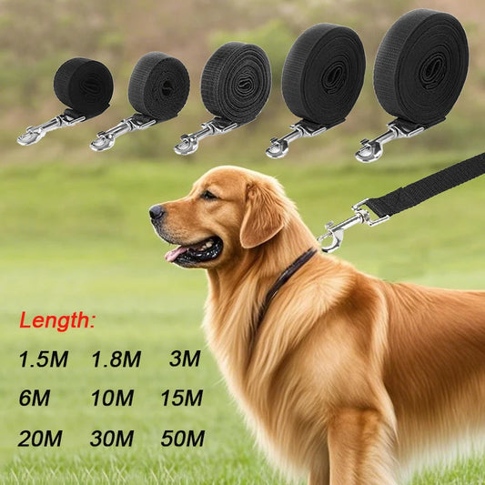 No-Pull Dog Collar for Stress-Free Walks