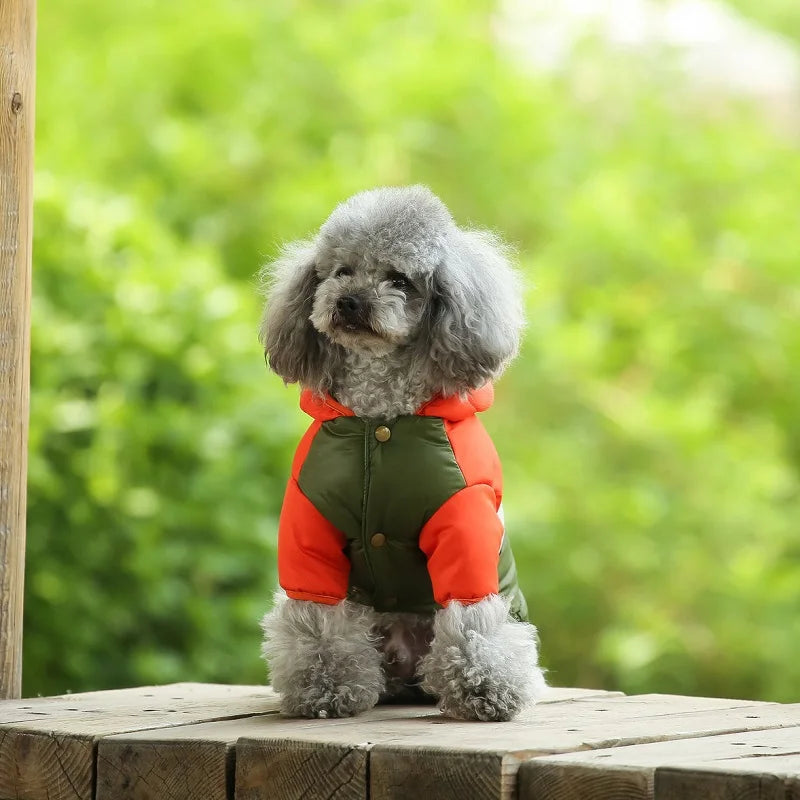 Waterproof dog coat: Keep your dog dry and comfortable in any weather.