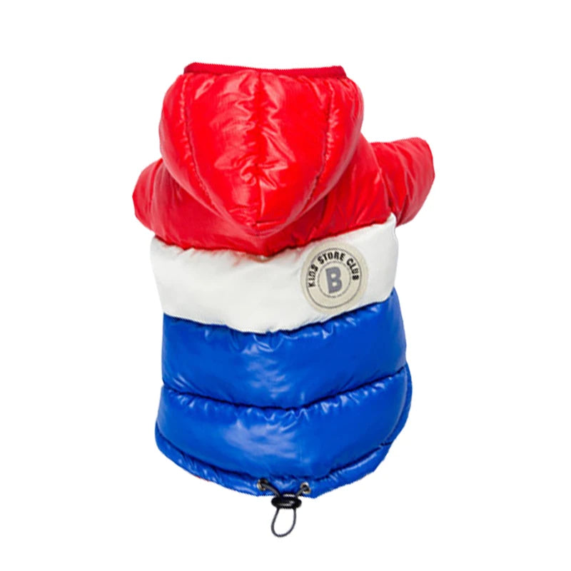 Waterproof dog coat: Keep your dog dry and comfortable in any weather.