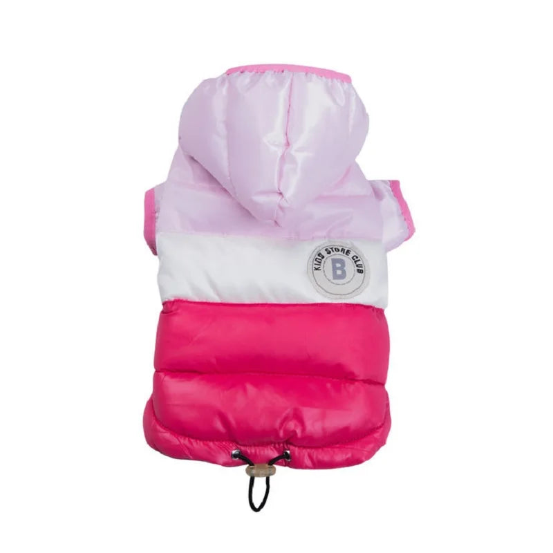 Waterproof dog coat: Keep your dog dry and comfortable in any weather.