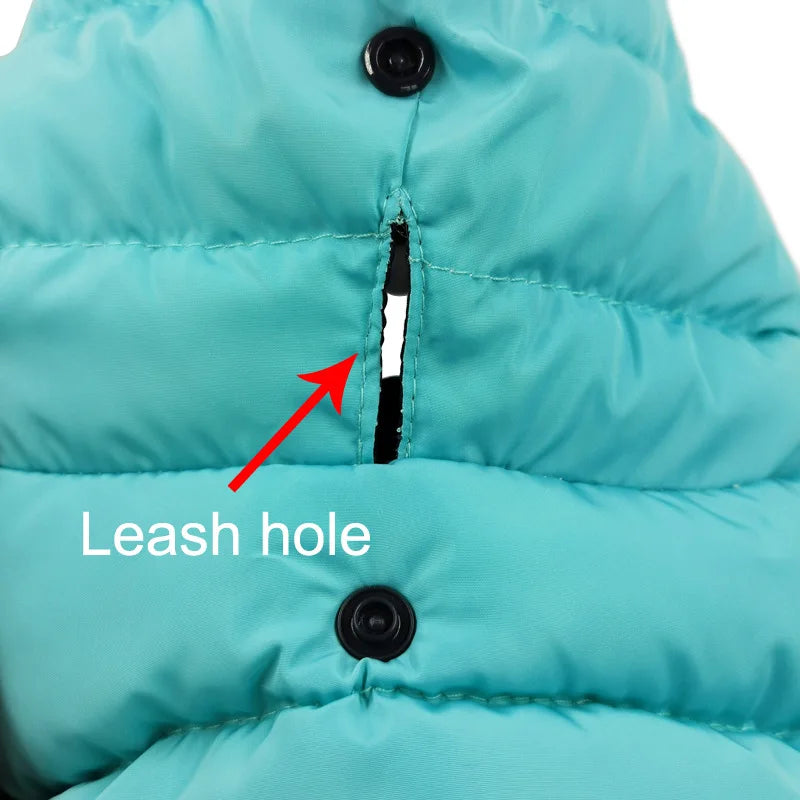 Waterproof dog coat: Keep your dog dry and comfortable in any weather.