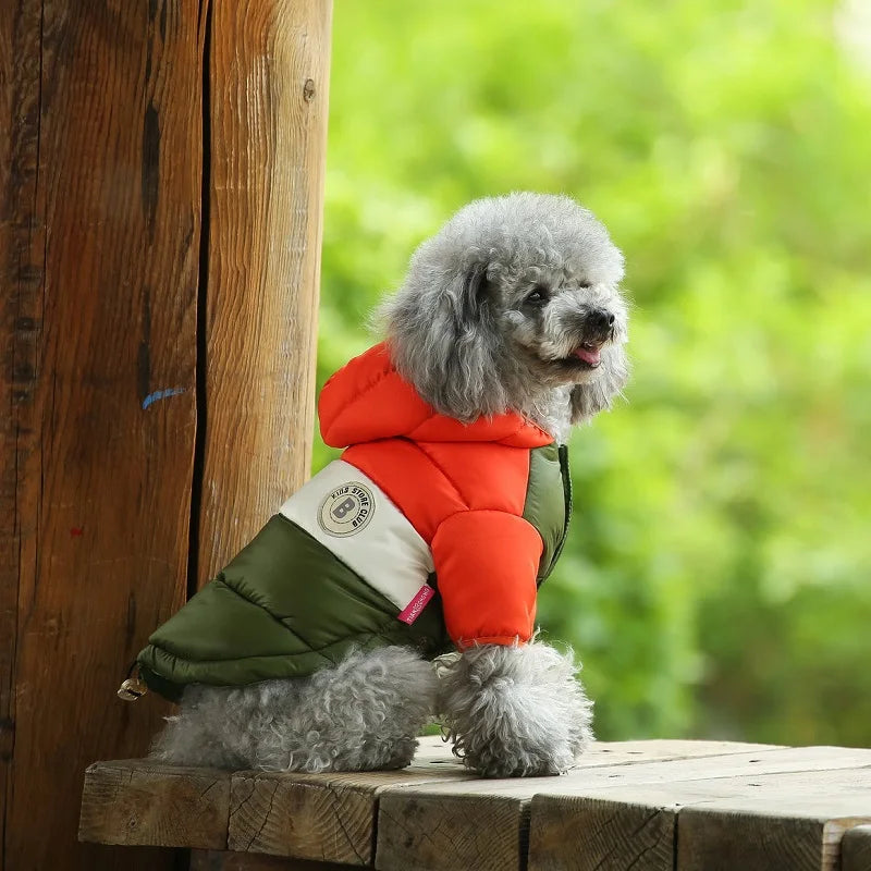Waterproof dog coat: Keep your dog dry and comfortable in any weather.