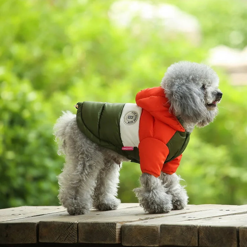Waterproof dog coat: Keep your dog dry and comfortable in any weather.