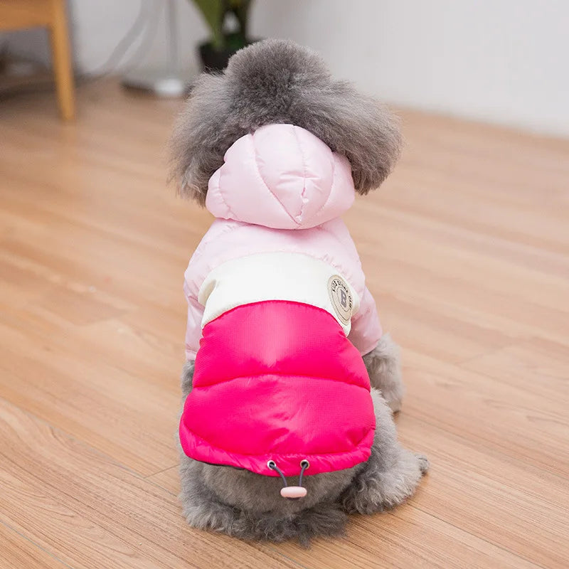 Waterproof dog coat: Keep your dog dry and comfortable in any weather.