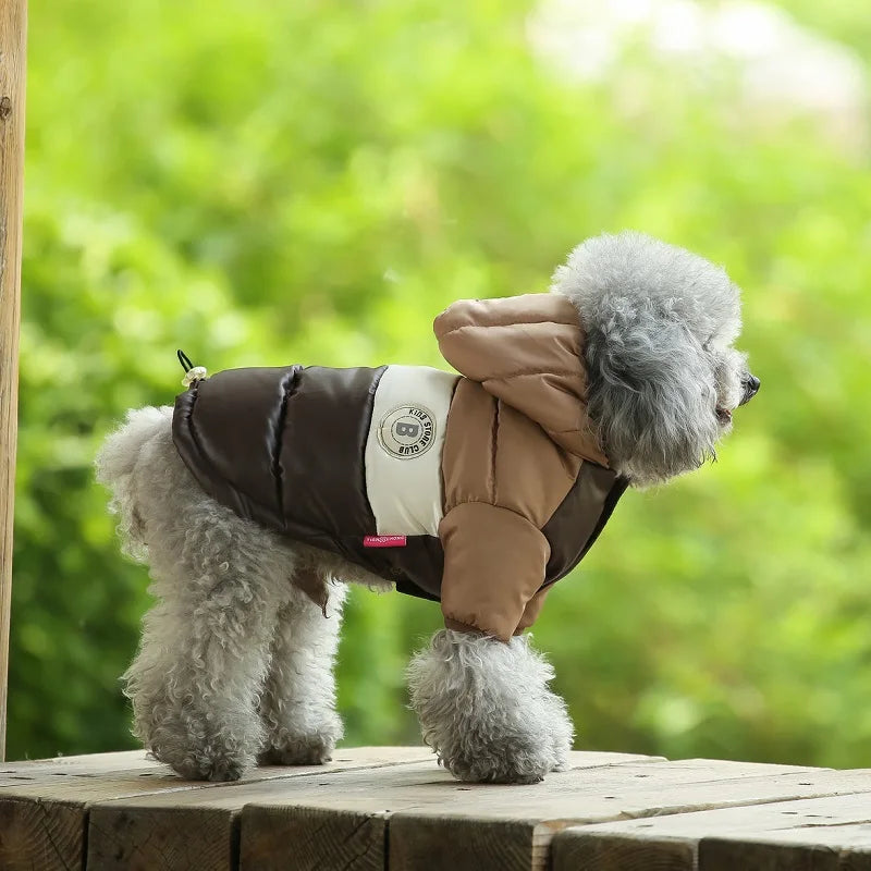 Waterproof dog coat: Keep your dog dry and comfortable in any weather.