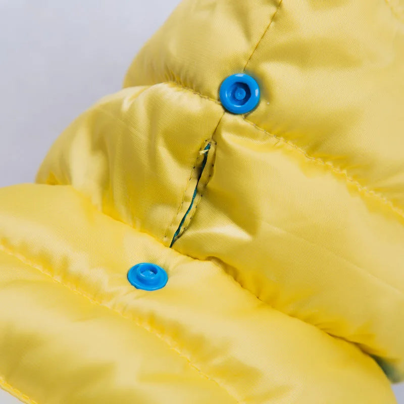 Waterproof dog coat: Keep your dog dry and comfortable in any weather.