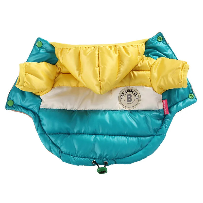 Waterproof dog coat: Keep your dog dry and comfortable in any weather.