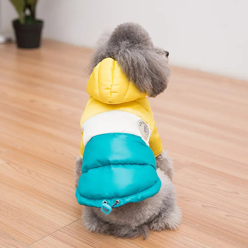 Waterproof dog coat: Keep your dog dry and comfortable in any weather.