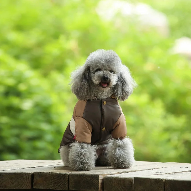 Waterproof dog coat: Keep your dog dry and comfortable in any weather.