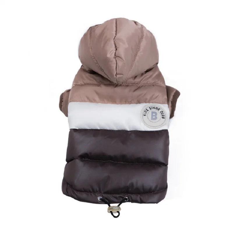 Waterproof dog coat: Keep your dog dry and comfortable in any weather.